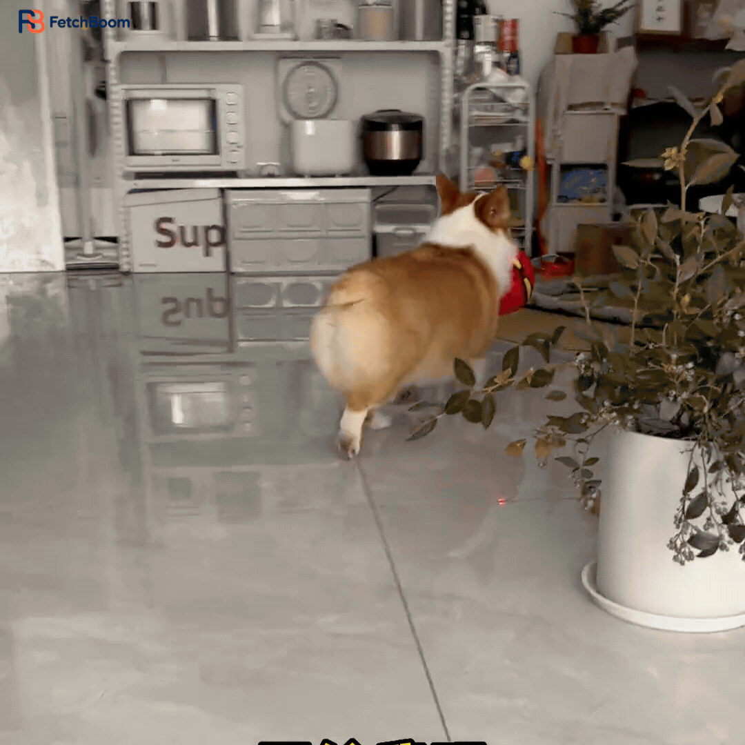 Fetchboom (3).gif