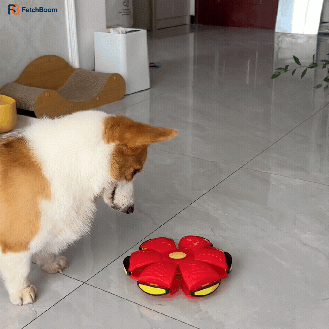 Fetchboom (2).gif