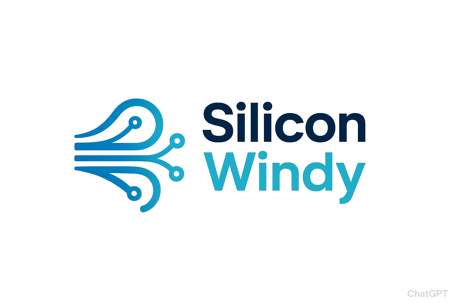 Silicon Windy Store